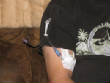 MedicalPictures/WRM11ARMIMG_8735.JPG
