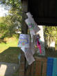 Picturesweb/WR16pictureIMG_3577.JPG