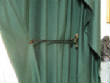 Picturesweb/WRCurtainwithrig1905.JPG