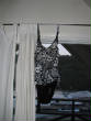 Picturesweb/WRG23SSUITIMG_2655.JPG
