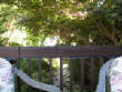 Picturesweb/WRcordltday2946.JPG
