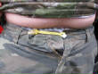 Picturesweb/WRmissing8154.JPG