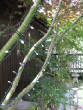 Picturesweb/WRoutlights3175.jpg